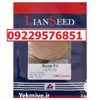 بذر خربزه راک پرفروش در هرمز در گروه خرید فروش بذر - انواع محصول کشاورزی گوجه کتان میوه درخت در یکمیوه