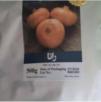 بذر پیاز زرد راتا در گروه خرید فروش عمده پیاز - قرمز سفید زرد ترشی تازه انباری در یکمیوه