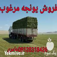 قیمت خرید یونجه و پرس کلش در تهران در گروه خوراک دام و طیور - پرواری شیری علوفه یونجه در یکمیوه