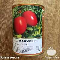 فروش بذر گوجه فرنگی مارول در گروه خرید فروش بذر - انواع محصول کشاورزی گوجه کتان میوه درخت در یکمیوه