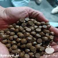 تولید و فروش خوراک آبزیان پرورشی در قزوین در گروه خوراک شیلات و آبزیان - ماهی گیلان خوزستان چابهار بوشهر در یکمیوه