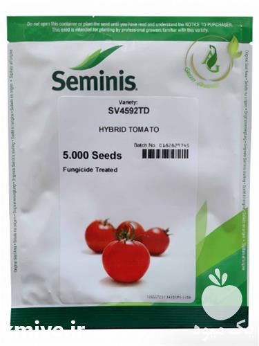 فروش توزیع بذر گوجه هیبرید SV 4592 سمینیس در تهران در گروه خرید فروش بذر - انواع محصول کشاورزی گوجه کتان میوه درخت در یکمیوه -عکس1