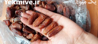 خرما پیارم درجه 2 در گروه خرید فروش عمده خرما - کبکاب تازه زاهدی خشک خارک در یکمیوه -عکس1