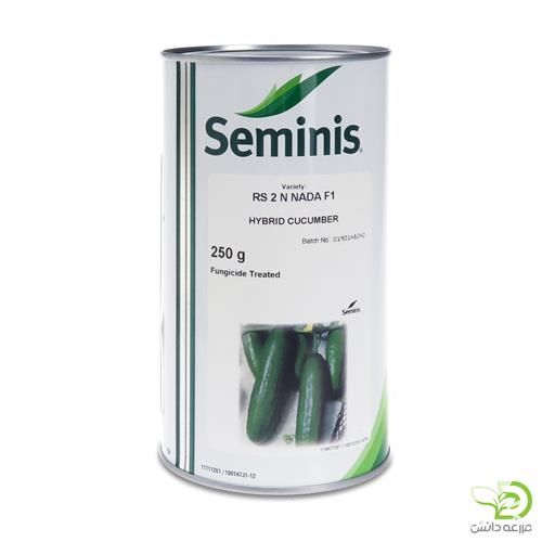 فروش عرضه بذر خیار فضای باز 2 n در گروه خرید فروش بذر - انواع محصول کشاورزی گوجه کتان میوه درخت در یکمیوه -عکس1