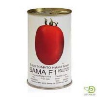 بذرگوجه فرنگی سما در خلخال در گروه خرید فروش بذر - انواع محصول کشاورزی گوجه کتان میوه درخت در یکمیوه