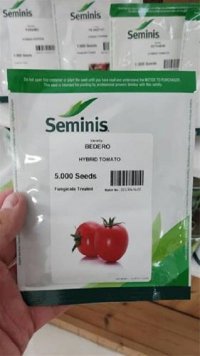 بذر گوجه فرنگی بدرو در شیراز در گروه خرید فروش بذر - انواع محصول کشاورزی گوجه کتان میوه درخت در یکمیوه