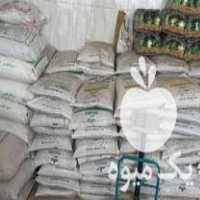 فروش انواع کودهای شیمیایی برای باغات و مزارع کشاورزی در مرند در گروه خرید فروش کود و مواد شیمیایی - اوره پتاس مرغی کمپوست آهن در یکمیوه