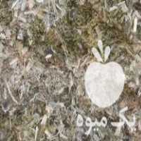 فروش ذرت علوفه ای سیلو شده پردان در گروه خرید و فروش ذرت در یکمیوه