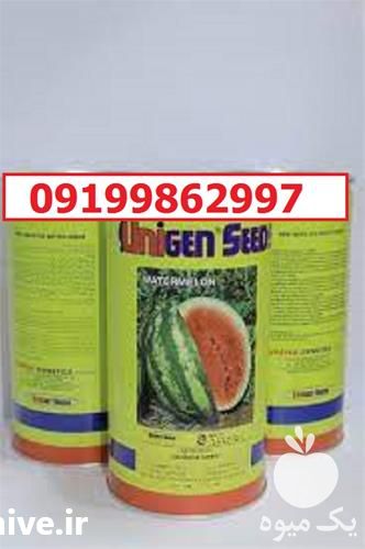 قیمت خرید بذر هندوانه یونی ژن سیاه اصل در کرمان  در گروه خرید و فروش بذر هندوانه در یکمیوه -عکس1