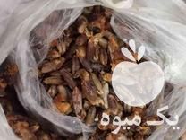 فروش هسته خرما در گروه خرید و فروش خرما در یکمیوه -عکس1