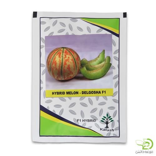 قیمت خرید عرضه بذر ملون دلگشاد در گروه خرید و فروش بذر ملون در یکمیوه -عکس1