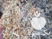 فروش پرس کلزا و کوبیده کلزا در گروه خرید و فروش کلزا در یکمیوه -عکس1