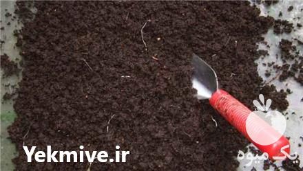 قیمت خرید کود ورمی کمپوست در گروه خرید و فروش کود کمپوست در یکمیوه -عکس1