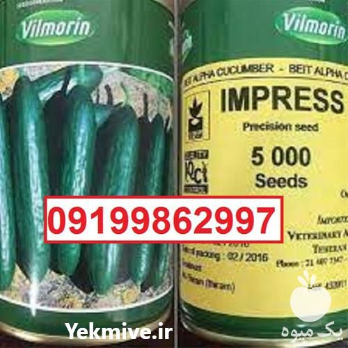 بذر خیار ویلمورین پرفروش اصل در گروه خرید و فروش بذر خیار در یکمیوه -عکس1