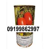 خرید بذر گوجه فرنگی مارول در گروه خرید و فروش بذر گوجه در یکمیوه