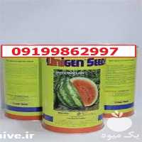 قیمت خرید بذر هندوانه یونی ژن سیاه اصل در کرمان  در گروه خرید و فروش بذر هندوانه در یکمیوه