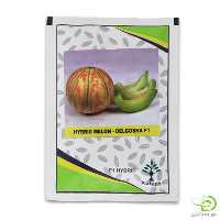 قیمت خرید عرضه بذر ملون دلگشاد در گروه خرید و فروش بذر ملون در یکمیوه