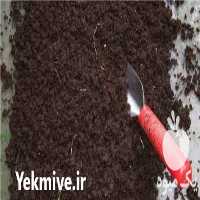 قیمت خرید کود ورمی کمپوست در گروه خرید و فروش کود کمپوست در یکمیوه