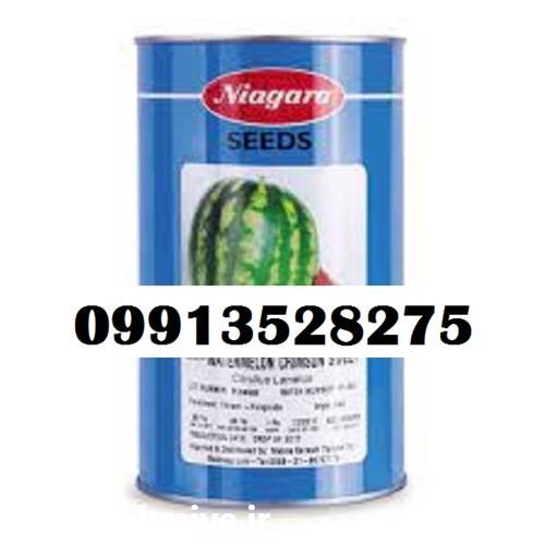 فروش بذر هندوانه نیاگارا با قیمت مناسب در بوشهر در گروه خرید و فروش بذر هندوانه در یکمیوه -عکس1