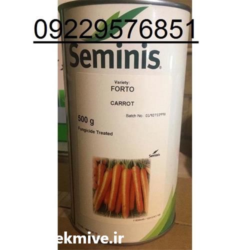 فروش بذر هویج فورتو در گروه خرید و فروش بذر هویج در یکمیوه -عکس1