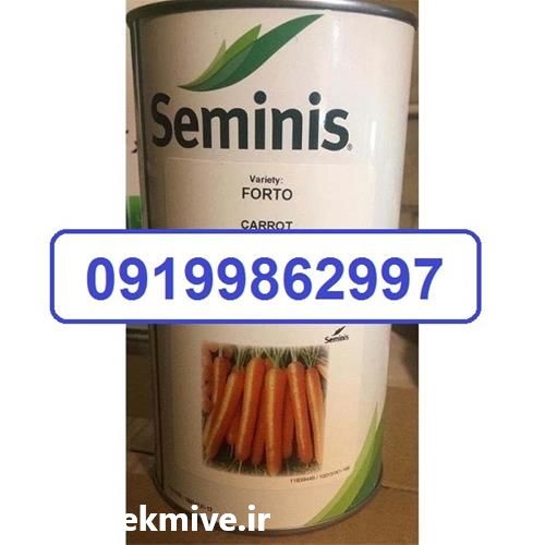 فروش بذر هویج فورتو در گروه خرید و فروش بذر هویج در یکمیوه -عکس1