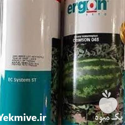 قیمت خرید بذر هندوانه ارگون در سمنان در گروه خرید و فروش بذر هندوانه در یکمیوه -عکس1