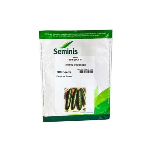 فروش عرضه بذر خیار گلخانه ای سینا در گروه خرید و فروش بذر خیار در یکمیوه -عکس1