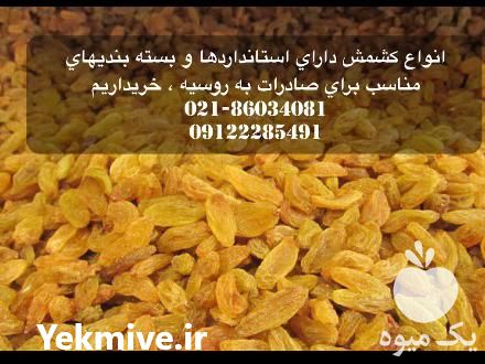 قیمت خرید کشمش جهت صادرات به روسیه در گروه خرید و فروش آجیل در یکمیوه -عکس1