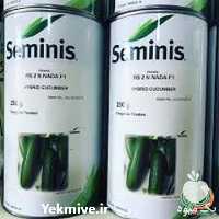 قیمت خرید بذر خیار n 2 در گروه خرید و فروش بذر خیار در یکمیوه