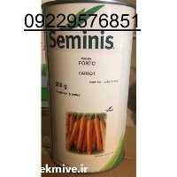 فروش بذر هویج فورتو در گروه خرید و فروش بذر هویج در یکمیوه