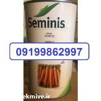 قیمت خرید بذر هویج فورتو در گروه خرید و فروش بذر هویج در یکمیوه
