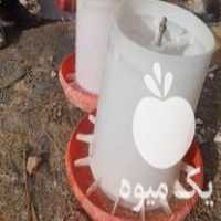 فروش دانخوری و آبخوری در گروه تجهیزات مرغداری در یکمیوه