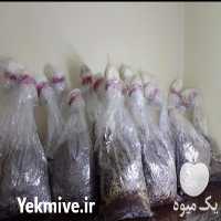 قیمت خرید خاک مخصوص قارچ 8 گانه گاندورما در رشت در گروه خرید و فروش قارچ در یکمیوه