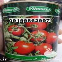 بذر گوجه فرنگی ویلمورین پرفروش اصل در هرمز در گروه خرید و فروش بذر گوجه در یکمیوه
