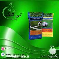 فروش بذر چمن سوپر اسپرت هلندی در گروه خرید و فروش بذر چمن در یکمیوه