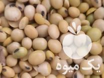 فروش سویا در گروه خرید و فروش سویا در یکمیوه -عکس1