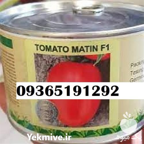 بذر گوجه متین پر فروش بازار در گروه خرید و فروش بذر گوجه در یکمیوه -عکس1