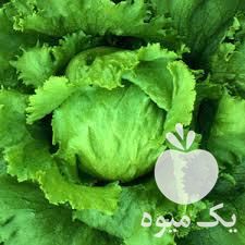 قیمت خرید صادرات انواع کاهو کلم و صیفیجات در گروه خرید و فروش کاهو در یکمیوه -عکس1