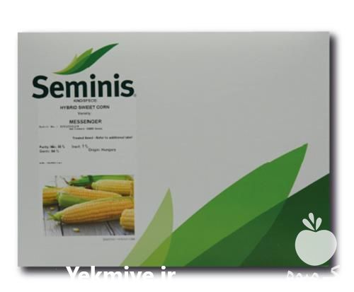 قیمت خرید بذر ذرت مسنجر به قیمت عمده در گروه خرید و فروش بذر ذرت در یکمیوه -عکس1