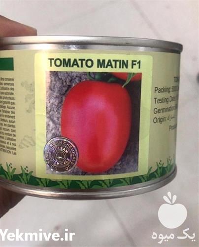 قیمت خرید و توزیع بذر گوجه فرنگی در کرمان  در گروه خرید و فروش بذر گوجه در یکمیوه -عکس1