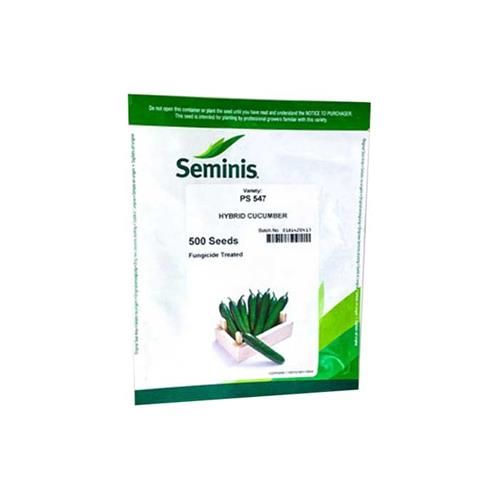 قیمت خرید بذر خیار گلخانه ای پی اس 547 در گروه خرید و فروش بذر خیار در یکمیوه -عکس1