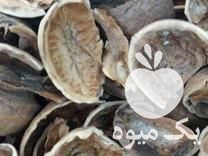قیمت خرید پوست بادام پوست گردو پوست فندق در گروه خرید و فروش فندق در یکمیوه -عکس1