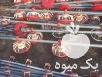 قیمت خرید وسایل مرغداری دست دوم صفرتا صد در چهارباغ در گروه تجهیزات مرغداری در یکمیوه -عکس1