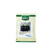 قیمت خرید بذر بادمجان جگوار در گروه خرید و فروش بذر بادمجان در یکمیوه