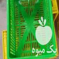 قیمت خرید سبد لبنیاتی و گوجه ای در گروه خرید و فروش انواع سبد در یکمیوه