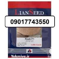 قیمت خرید بذر خربزه راک در خراسان رضوی در گروه خرید و فروش بذر خربزه در یکمیوه