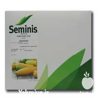 قیمت خرید بذر ذرت مسنجر به قیمت عمده در گروه خرید و فروش بذر ذرت در یکمیوه