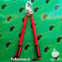 قیچی شاخه زن تلسکوپی فروش عمده در گروه خرید و فروش لوازم باغبانی در یکمیوه