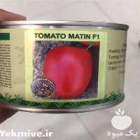 قیمت خرید و توزیع بذر گوجه فرنگی در کرمان  در گروه خرید و فروش بذر گوجه در یکمیوه