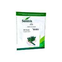 قیمت خرید بذر خیار گلخانه ای پی اس 547 در گروه خرید و فروش بذر خیار در یکمیوه